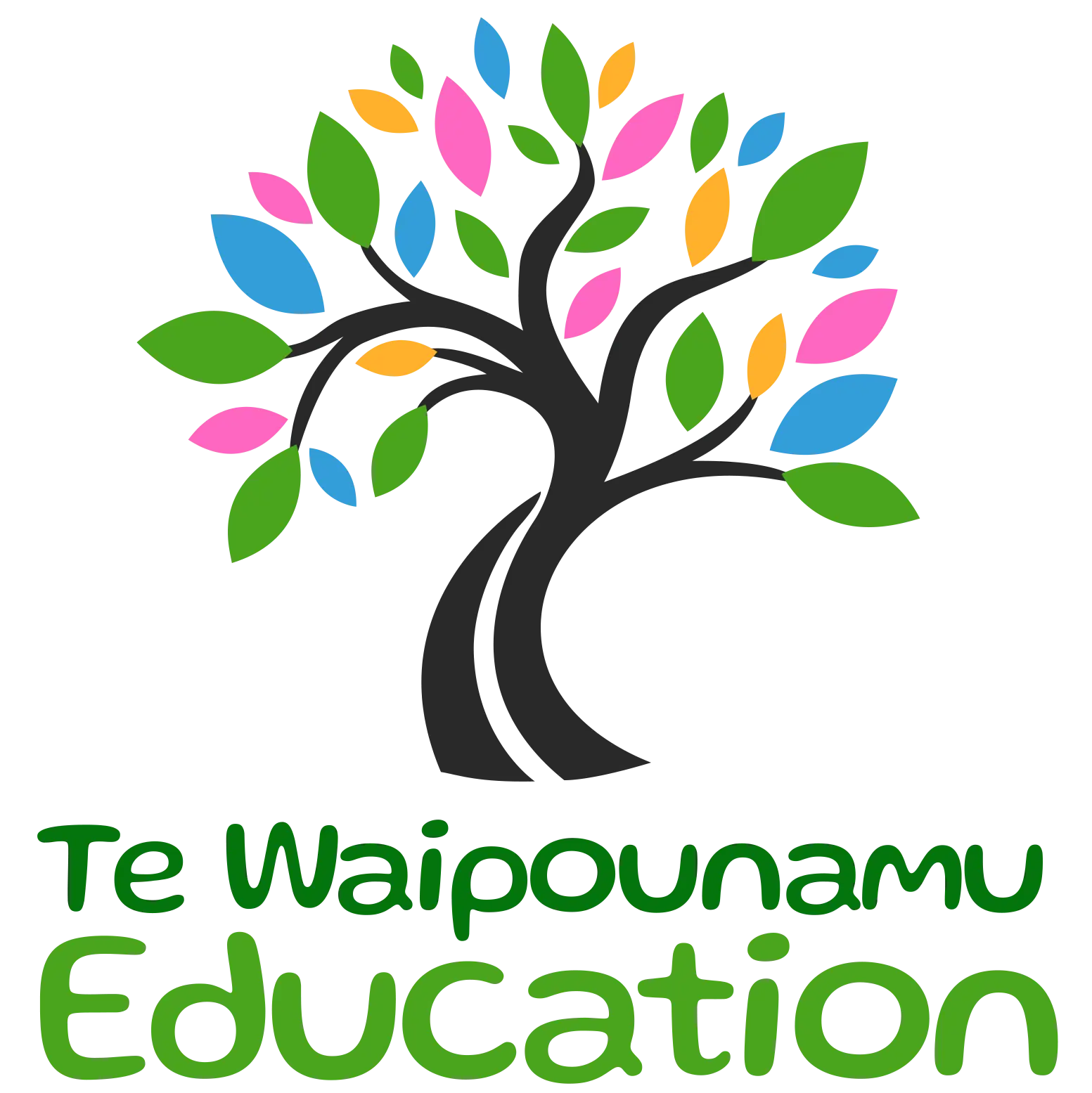 Te Waipounamu Education logo
